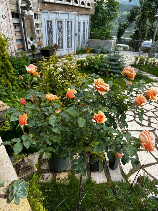 Deghceni Clubhouse Hotell Dilijan Eksteriør bilde